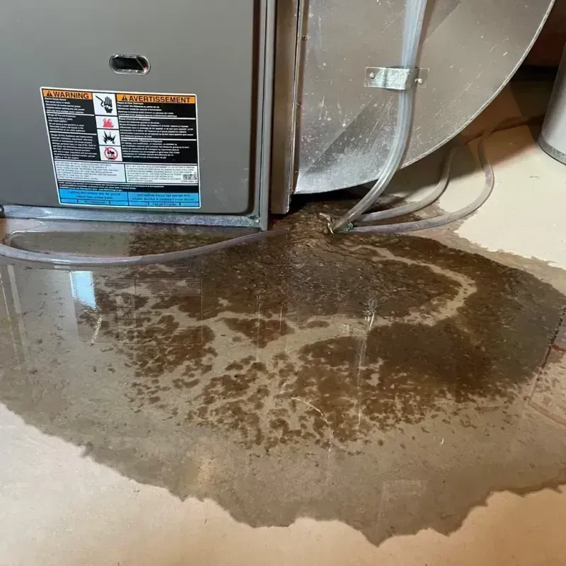 Appliance Leak Cleanup in Miller County, MO